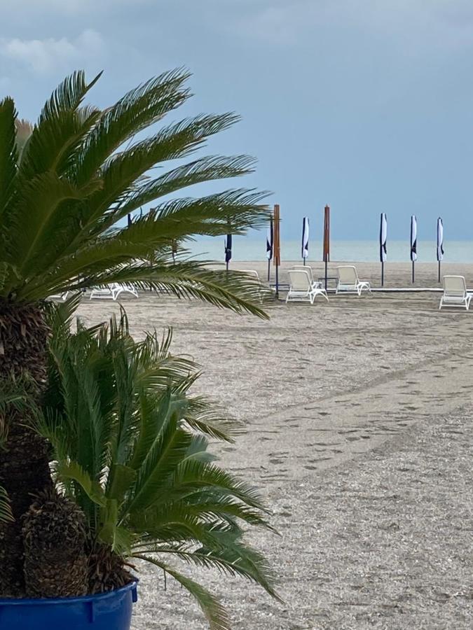 Vega Beach Apartment Mamaia Eksteriør billede